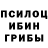 Галлюциногенные грибы мицелий Yulia Gabdullina