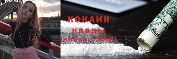 ГАЛЛЮЦИНОГЕННЫЕ ГРИБЫ Весьегонск