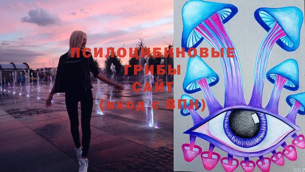 дмт Валдай