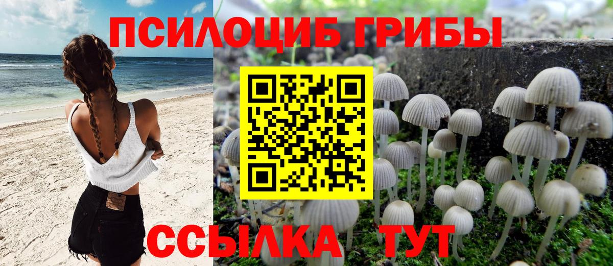 Псилоцибиновые грибы Psilocybine cubensis Назарово