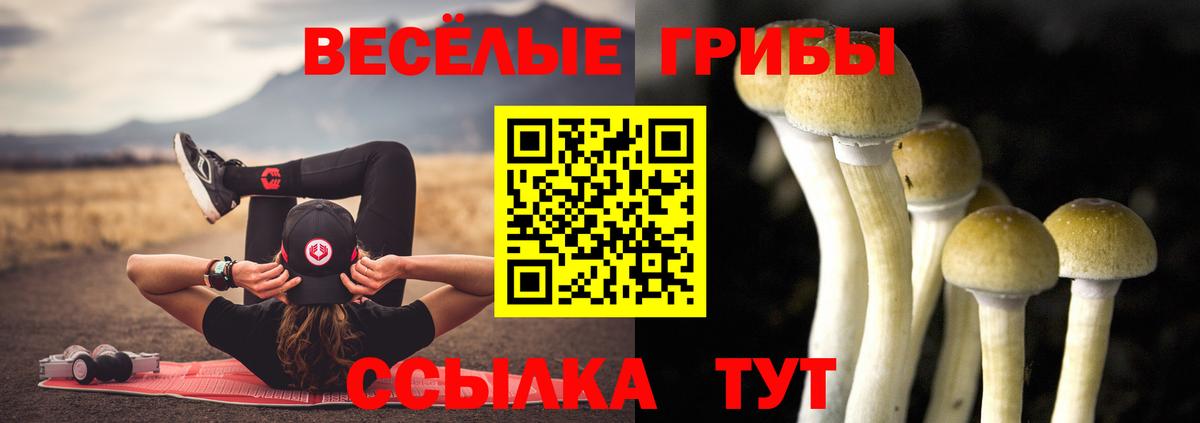 Назарово  Галлюциногенные грибы Psilocybine cubensis  Вход с VPN 